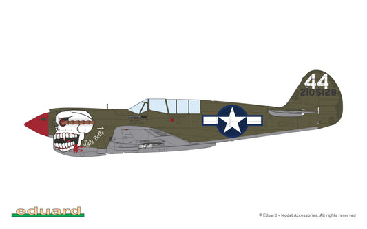 P40N Warhawk