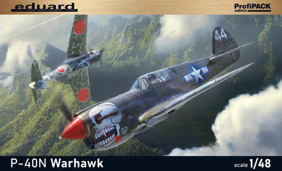 P40N Warhawk