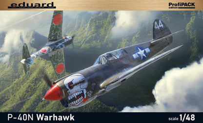 P40N Warhawk