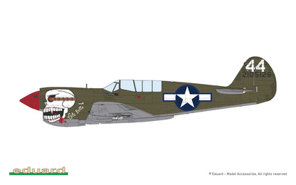 P40N Warhawk