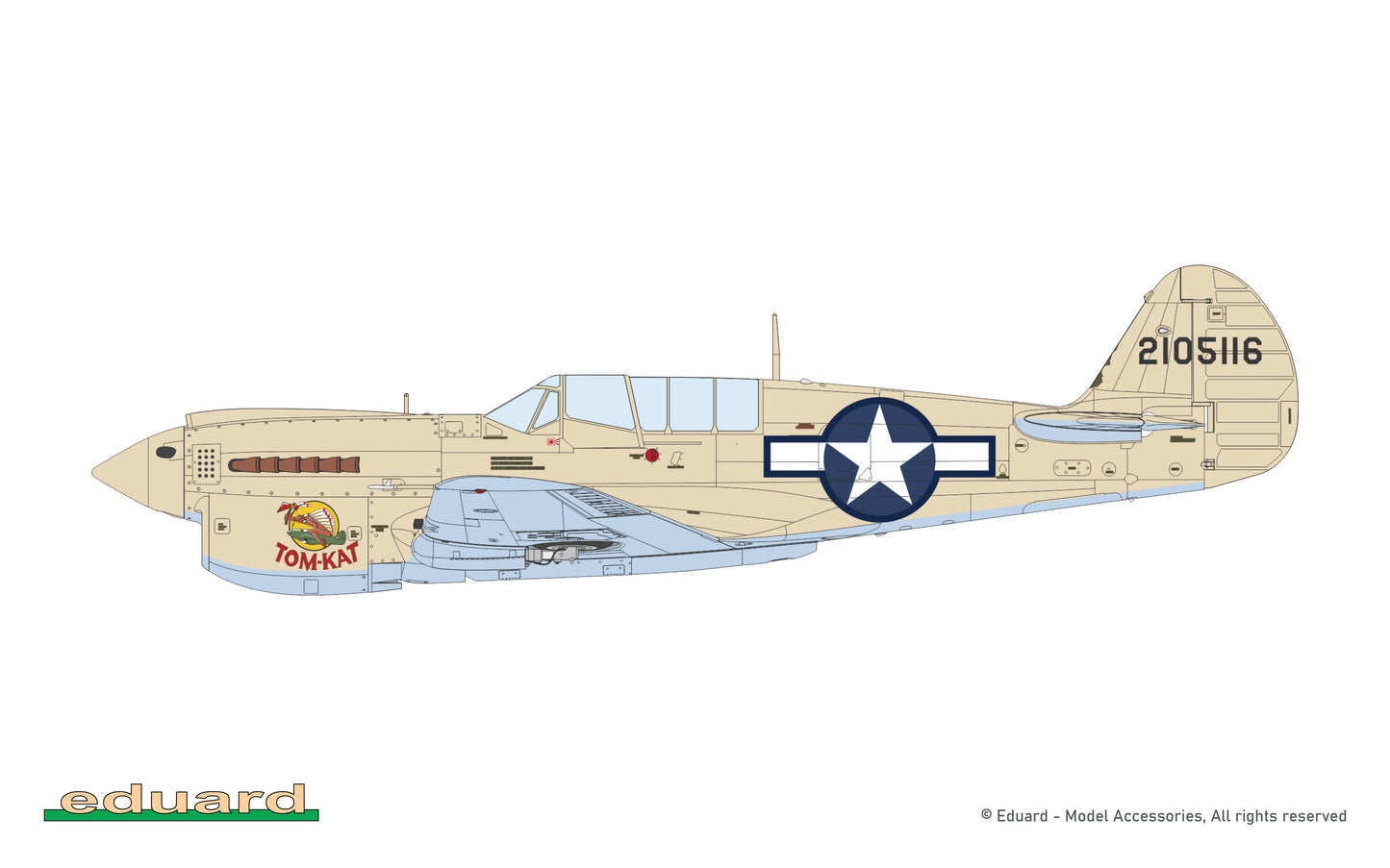 P40N Warhawk