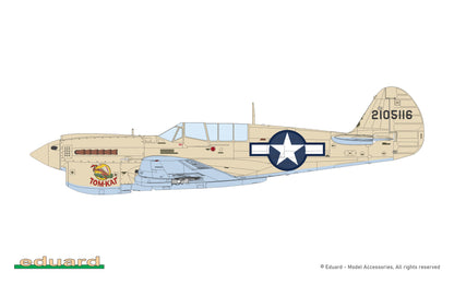 P40N Warhawk