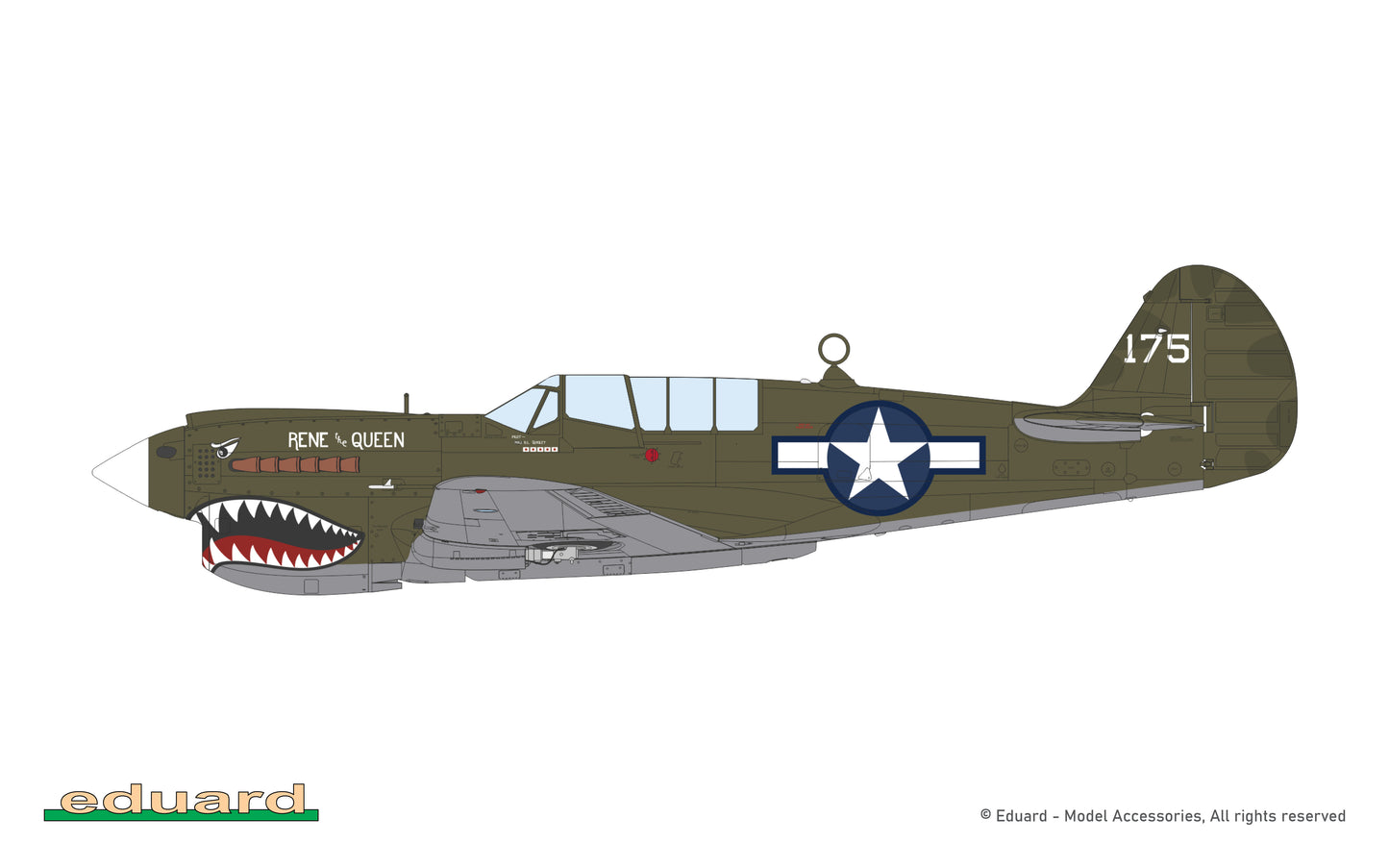 P40N Warhawk