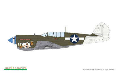 P40N Warhawk