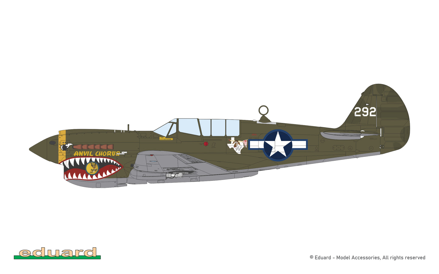 P40N Warhawk