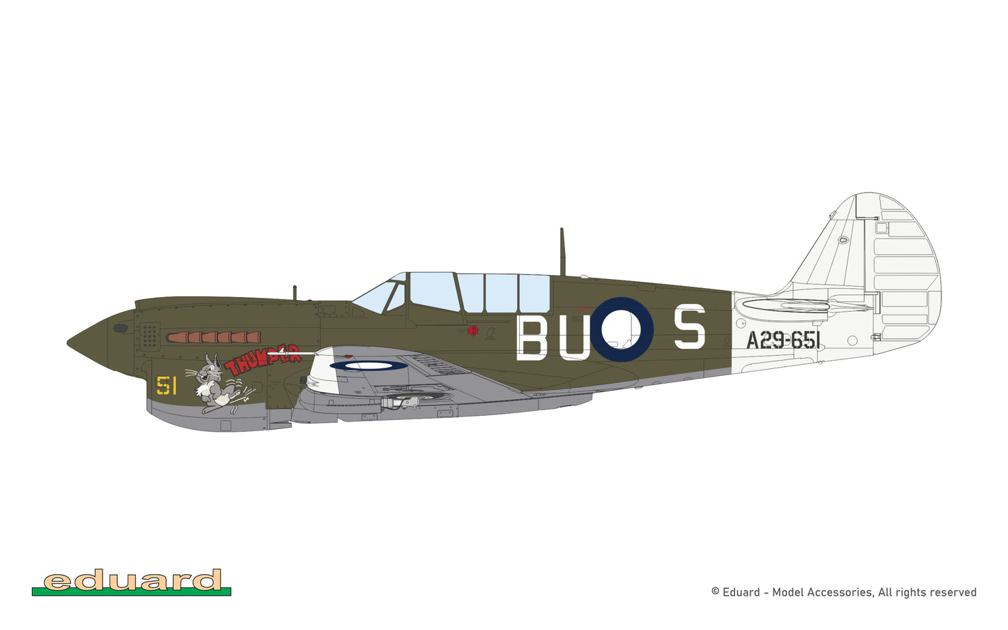 P40N Warhawk