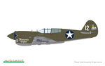 P-40E Warhawk